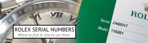 rolex watch serial number meaning